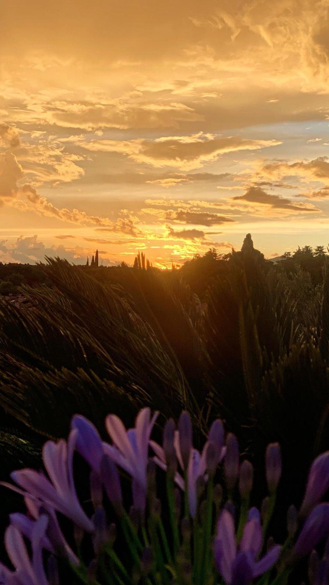 Hotel La Dolce Vita Cavaion Veronese Dış mekan fotoğraf